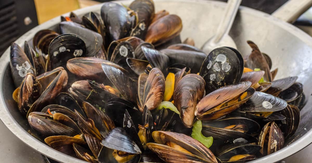 Мидии st. Как чистить мидии. Мидии в соусе горгонзола. Калифорнийская мидия. Запечённые мидии в ракушках.