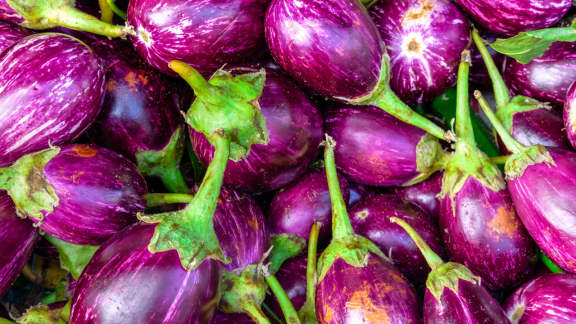 salade d'aubergines grillée, fromage de chêvre et lardons