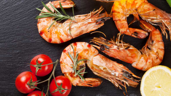 cocktail de crevettes grillées et salsa méditerranéenne