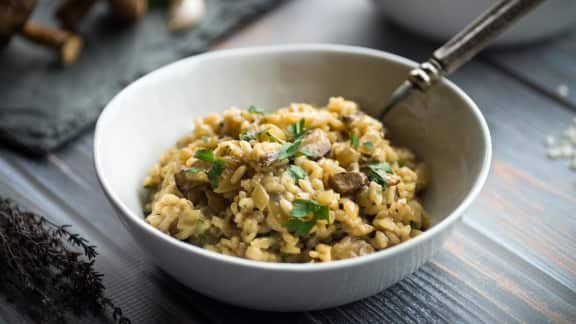 risotto aux champignons sauvages et canard confit