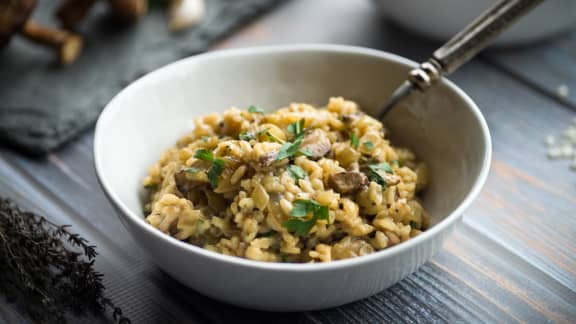 Risotto aux champignons sauvages et canard confit