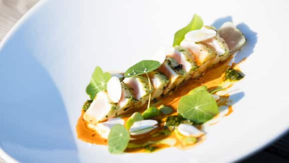 tataki de marlin bleu, chimichurri de capucines, purée de gourganes, labneh épicé, réduction de carotte au piment d’Alep, amandes fraîches