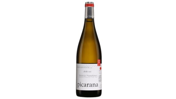 5 vins qui s'accordent parfaitement avec les huîtres