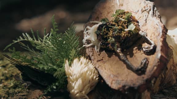 Étourneaux laqués au miel et galettes de champignons sauvages