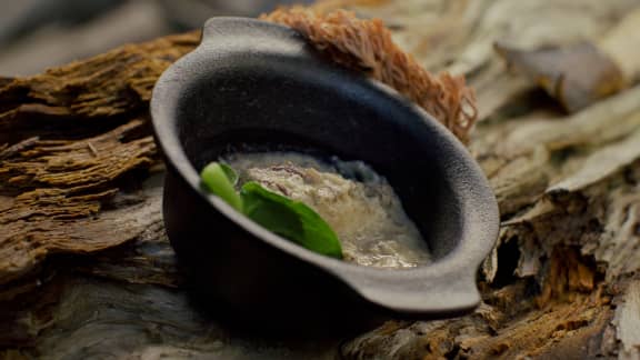 Quenelles de brochet