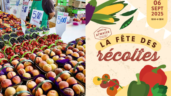 La Fête des récoltes : un week-end gourmand dans les marchés publics de Montréal
