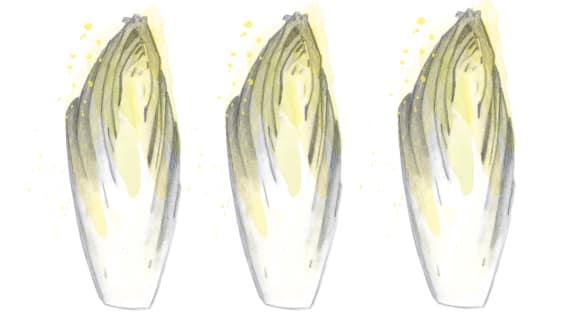 L’endive : finesse et caractère