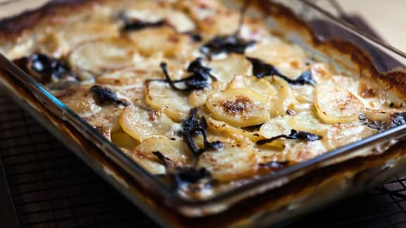 Gratin dauphinois aux chanterelles