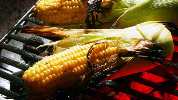 Mais grillé dans ses feuilles