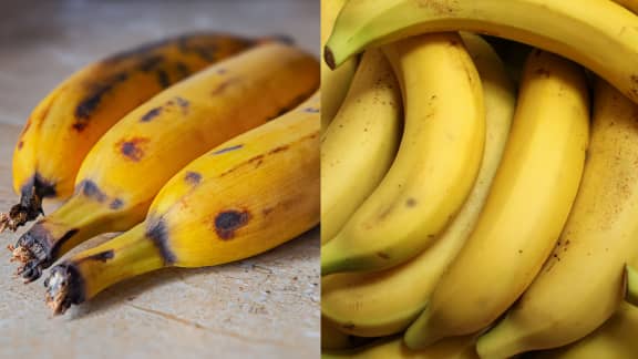 Bananes et bananes plantain