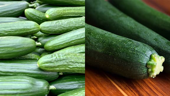 Concombre et courgette