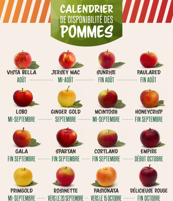 Les13 variétés de pommes de nos vergers