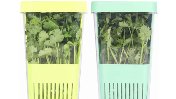 Comment conserver vos fines herbes plus longtemps