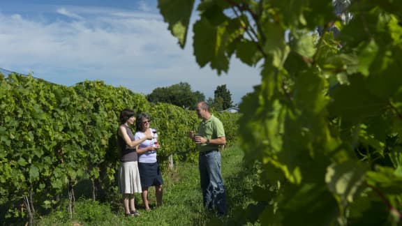 Portes ouvertes Route des vins