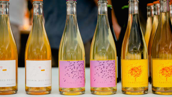 La foire des vins et cidres d'ici est enfin de retour à Montréal