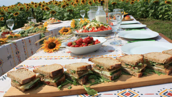 Sandwich au végépâté et au fromage