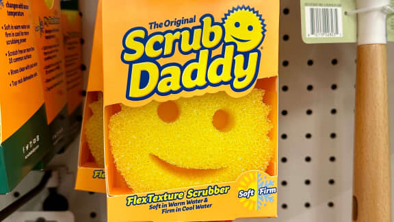 Scrub Daddy, une success-story à l'américaine grâce à une éponge !