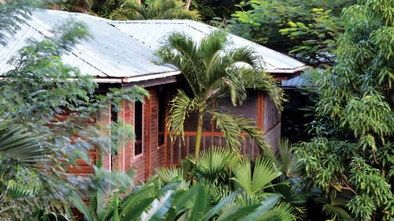 De la jungle à la table au Bélize