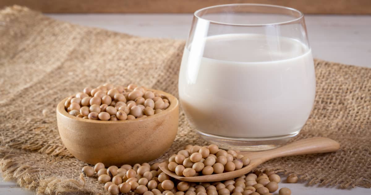 Lait De Soja Fait Maison | Lait De Soja Au Four – JTEV