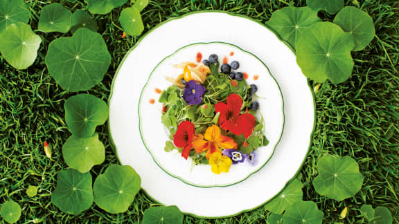 Salade de pensées et de capucines