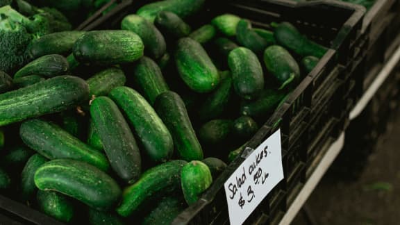 Voici le légume parfait à intégrer à vos repas dès que l’été s’installe