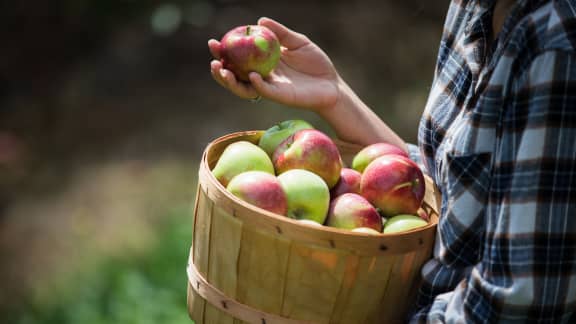 Événements gourmands : Quoi faire en octobre