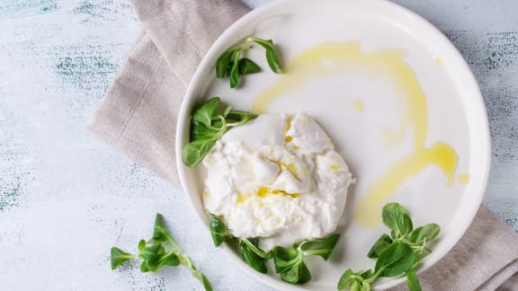 burrata