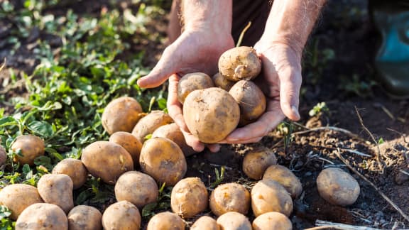 Voici 10 aliments et objets à ne jamais chauffer dans votre micro-ondes