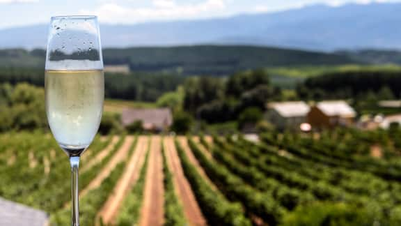 Visite au coeur du champagne!