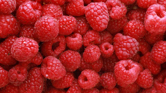Ces 10 aliments vous aideront à atteindre votre apport en fibres sans effort