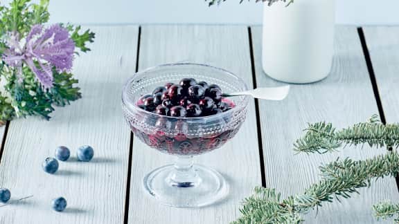 Tout ce qu’il faut savoir sur les bleuets