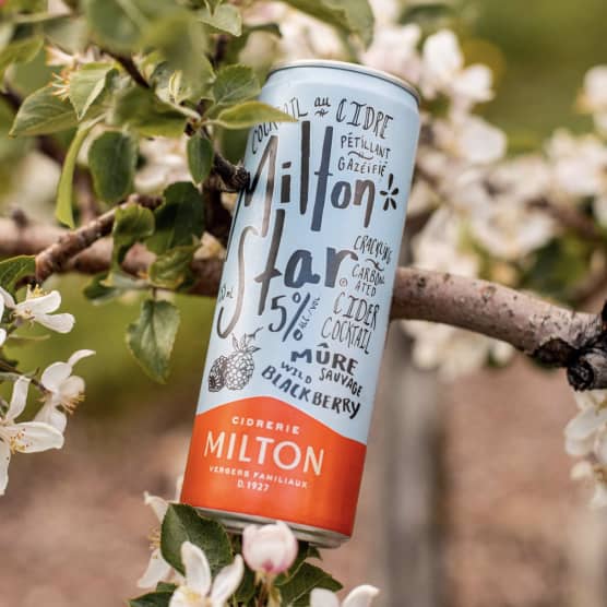 5 cidres québécois parfaits pour célébrer la semaine du cidre