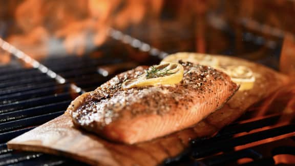 TOP : 7 recettes de saumon à cuire sur le BBQ