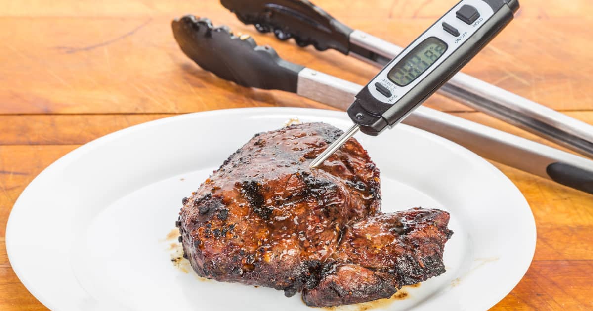 Thermomètre de cuisson ultra-précis pas cher avec pique viande, Thermomètres et minuteurs