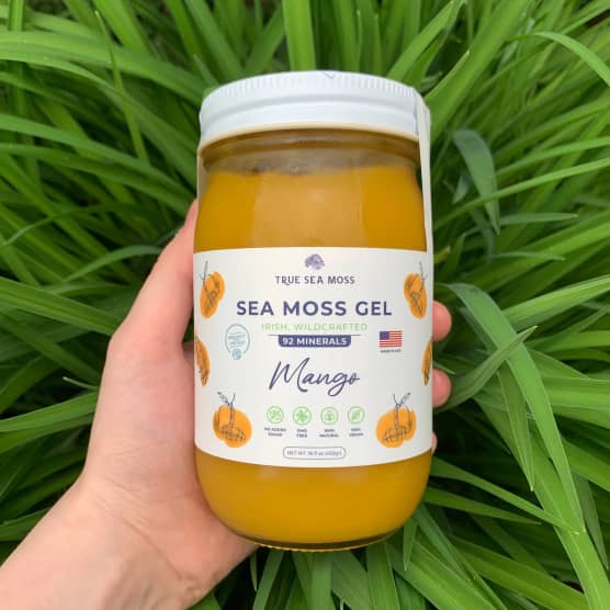 Quels sont les bienfaits du « sea moss gel » sur la santé ?