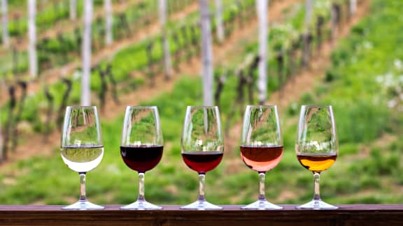 Escapade gourmande : 10 vignobles à découvrir en Montérégie