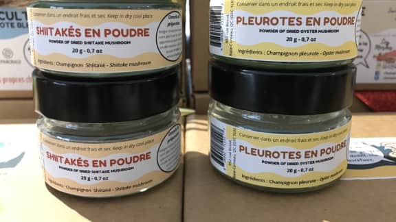 Roadtrip gourmand : 20 arrêts à faire à la Côte-Nord