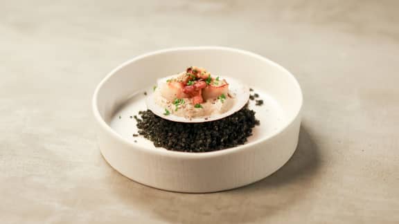 Pétoncles, espuma de pleurotes à la truffe, girolles à l’ail et beurre de corail