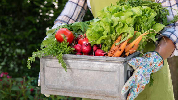10 fermes du Québec où acheter des aliments locaux