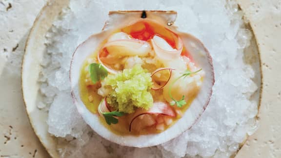Crudo de pétoncles, rhubarbe, granité de livèche