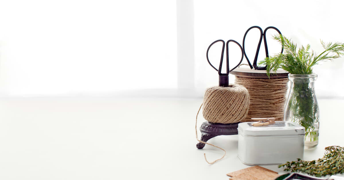 Recettes avec de l'aneth, idées de quoi manger | Zeste