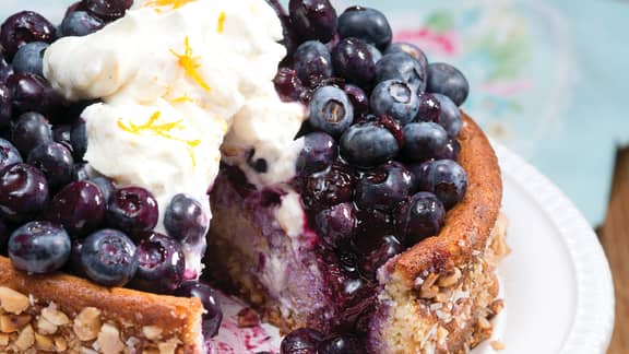 Gâteau au fromage et aux bleuets