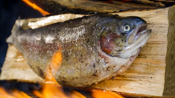 Truite canadienne grillée sur bûche