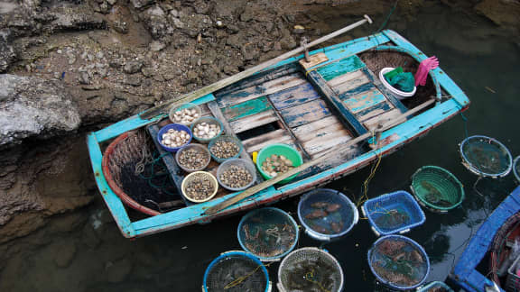 Vietnam : le pays aux marchés flottants