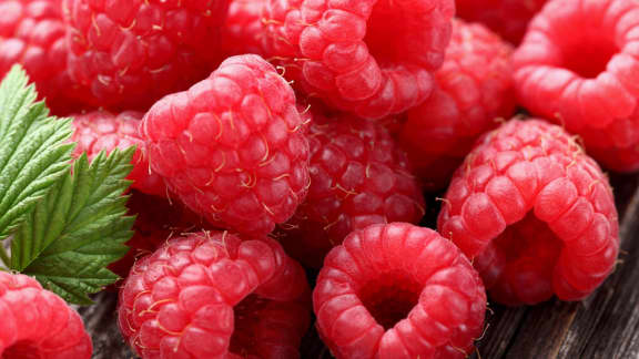 cylindres de betteraves, framboises et fromage bleu