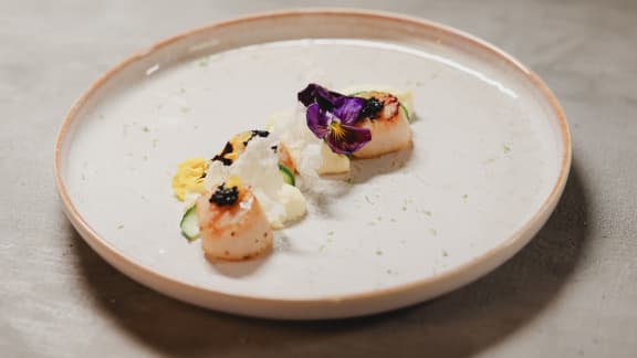 Pétoncles poêlés, purée de panais et gelée de mandarine à l’érable
