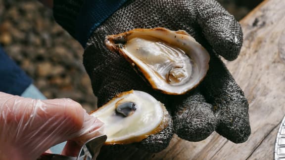 Le restaurant où manger si vous aimez les huîtres