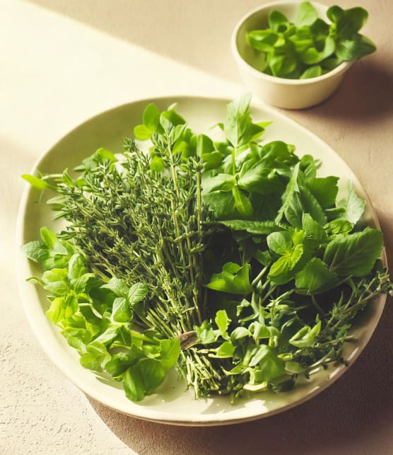 Comment conserver vos fines herbes plus longtemps