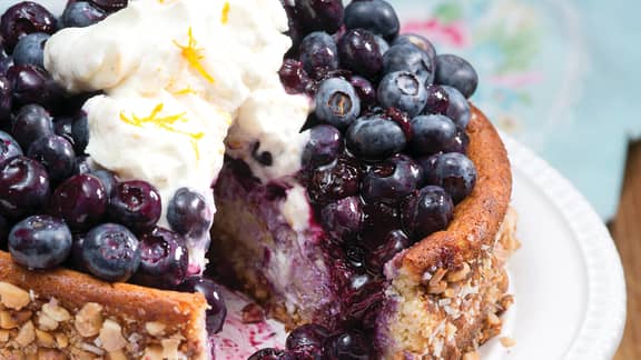 Gâteau au fromage et aux bleuets