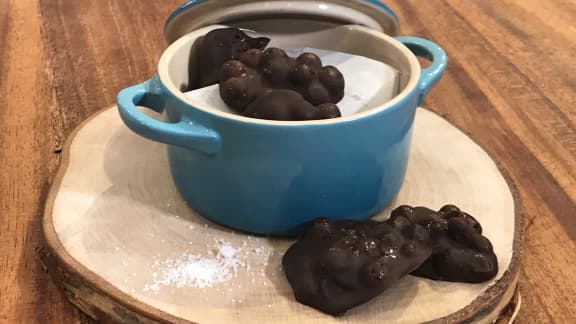 Surprise chocolatée aux bleuets nordiques